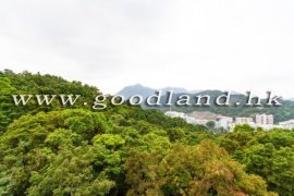 清水灣泳池住宅單位出租
