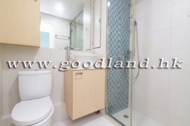 西貢泳池別墅出租