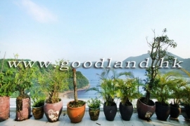 清水灣每層海景村屋出售
