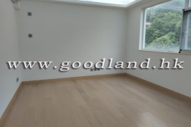 清水灣綠景村屋出租
