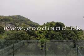清水灣綠景村屋出租