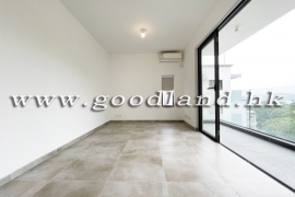 清水灣綠景村屋出租