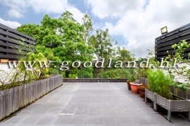 【清水灣開揚景觀村屋出售】花園・天台