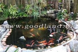 【西貢海景村屋出售】花園・泳池・泊車便利