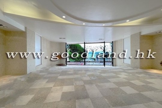 【清水灣豪華海景別墅出售】全海景・大花園・罕有放盤