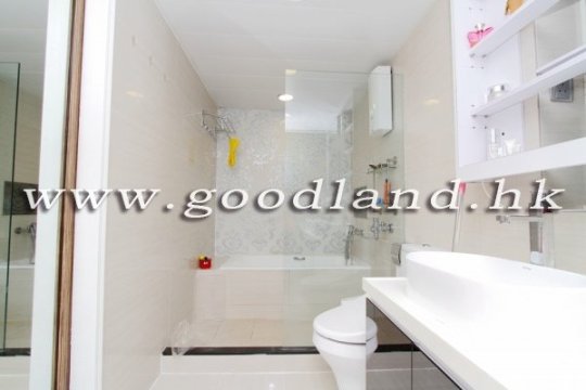 清水灣綠景村屋出售