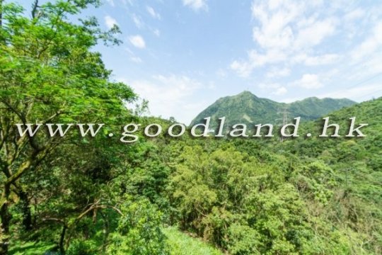 【清水灣綠景屋苑住宅出售】綠景・實用家庭佈局