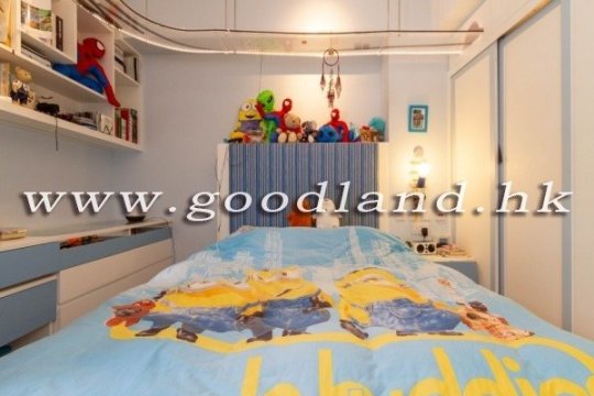 清水灣 | 維港煙花全海景頂級維拉豪宅 · 罕有6房3套4車位 · 出售