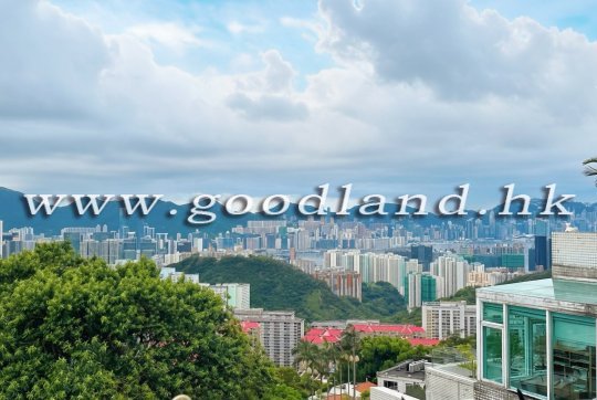 飛鵝山別墅出售｜傳統豪宅地段・香港城市夜景・私人露台